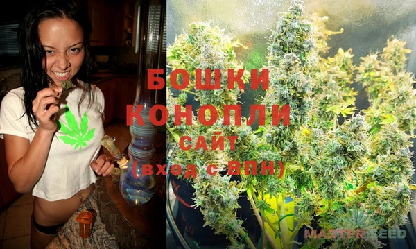 стафф Абаза