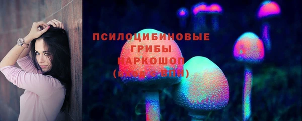 индика Алексеевка