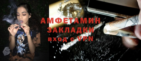 прущие грибы Алзамай