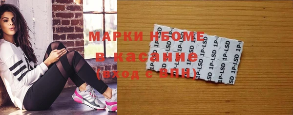 прущие грибы Алзамай