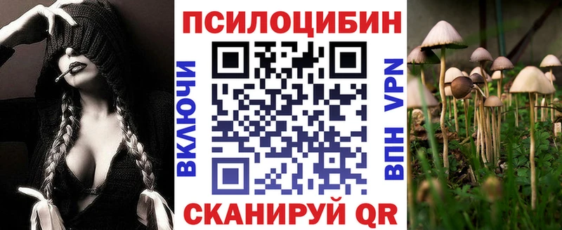 Псилоцибиновые грибы мицелий  Жигулёвск 
